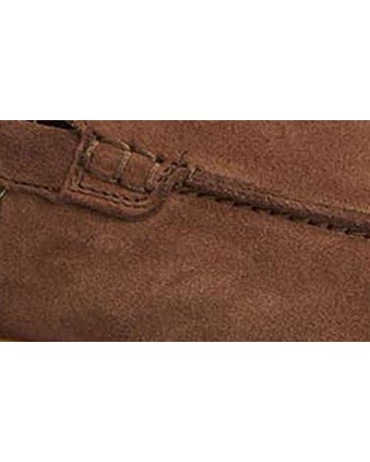 Barbour Brown Carty Moc Toe Loafer for men