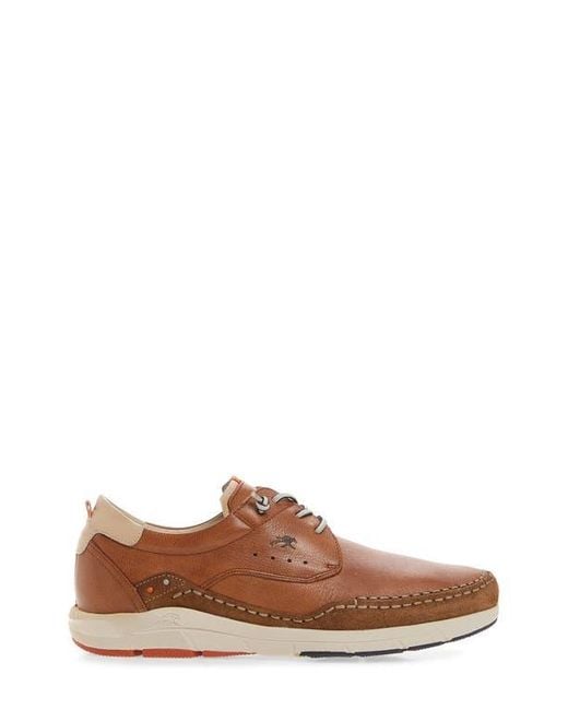Fluchos Brown Kai Sneaker for men