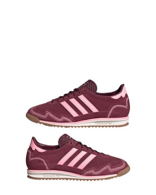 Adidas Purple Sl 72 Sneaker