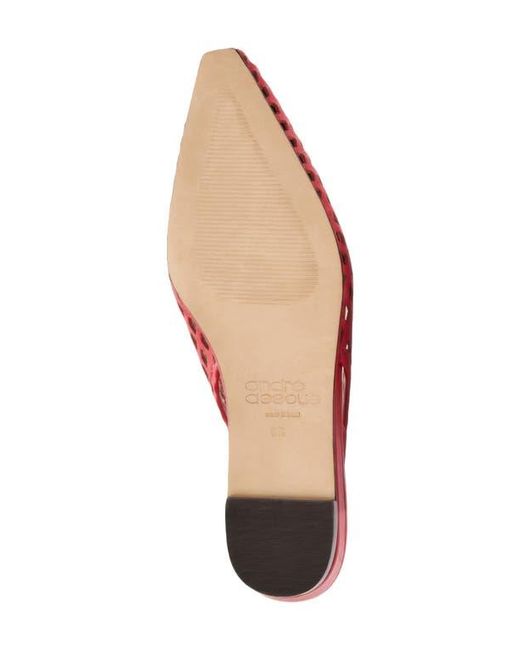 Andre Assous Red Brielle Pointed Toe Slingback Flat