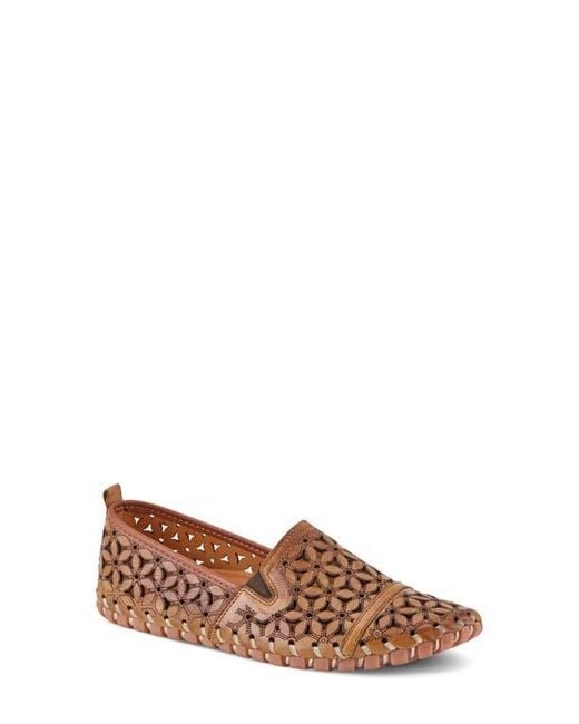 Spring Step Brown Flowerflow Flat