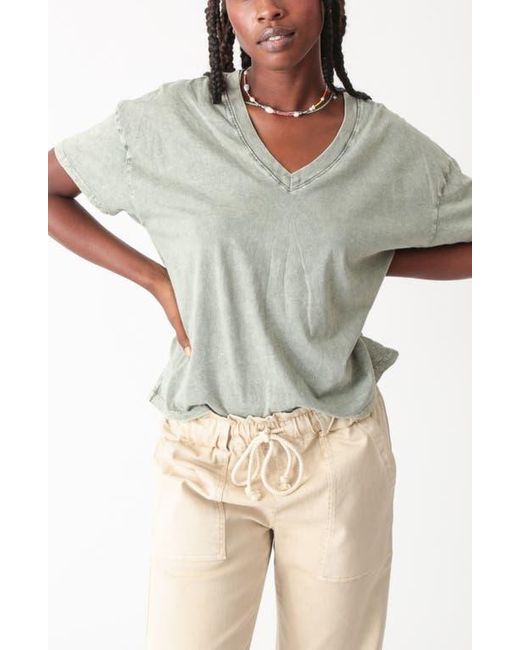 Electric and Rose Multicolor Chase V-Neck T-Shirt