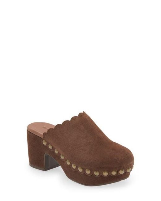 Chocolat Blu Brown Gemini Platform Clog