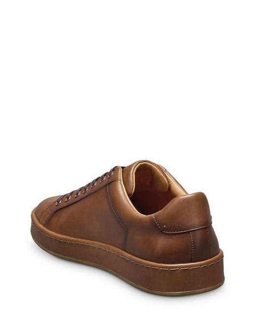 Allen Edmonds Brown Barnes Low Top Sneaker for men