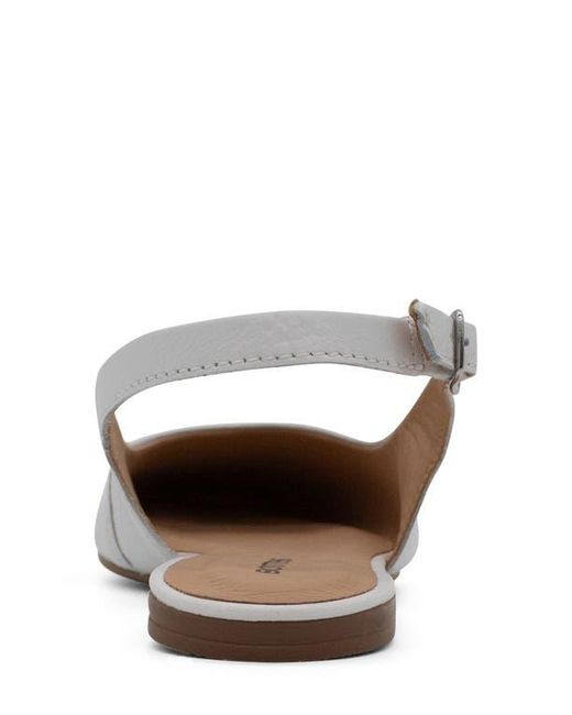 BOTTER Brown Botsamya Xxiv Slingback Flat