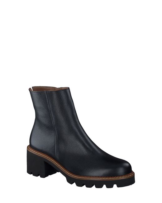 sheridan bootie paul green