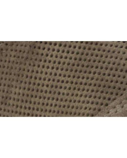Dune Brown Trilogy Sneaker for men