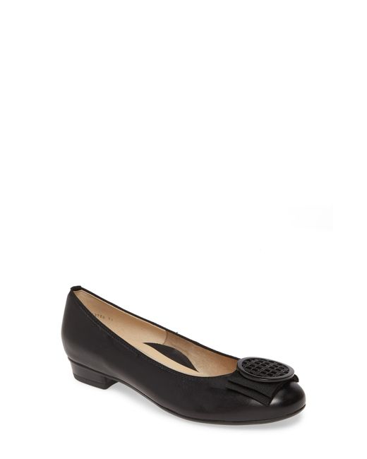 Ara Multicolor Bambi Flat
