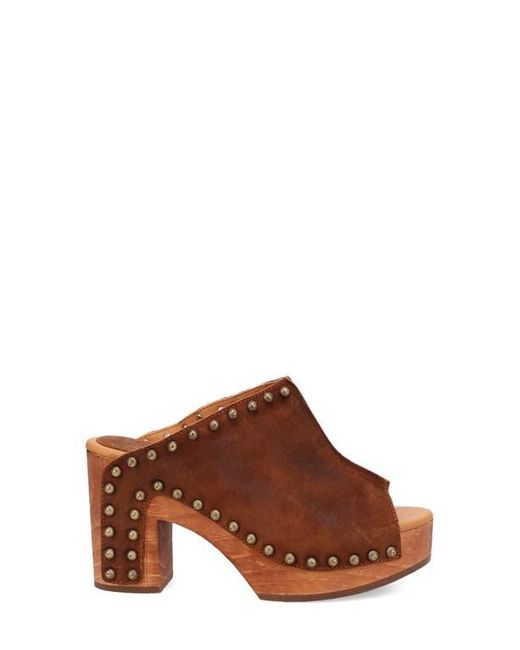 Dingo Brown Echo Clog