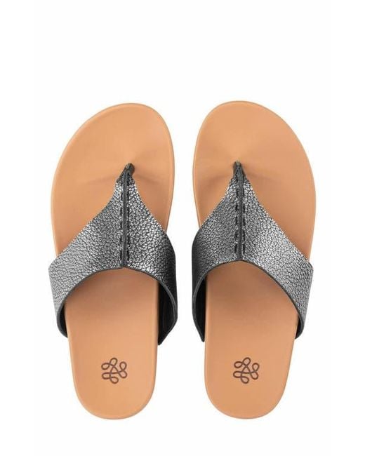 The Sak Metallic Everly Sandal