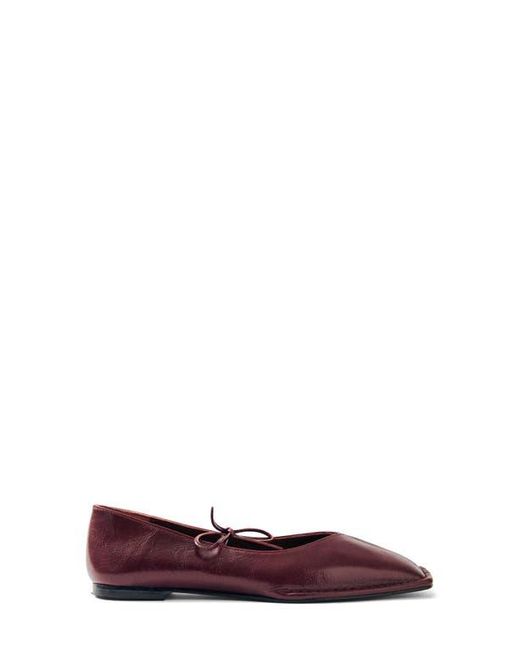 Alohas Purple Sway Square Toe Ballet Flat