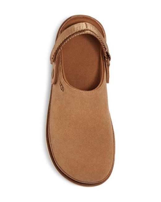 Ugg Brown Goldenstar Clog Suede Shoes