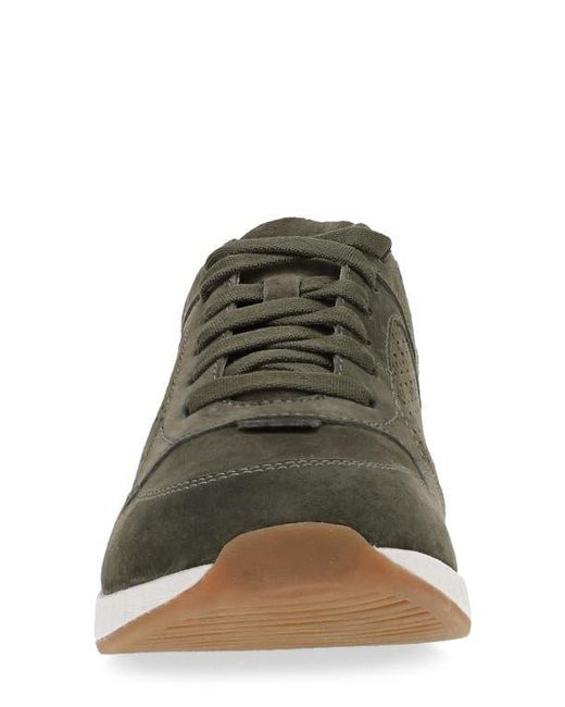 Dansko Gray Catie Sneaker