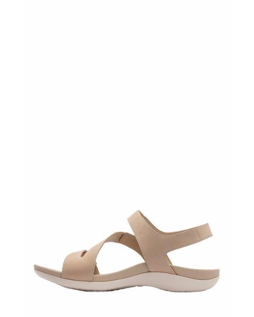 ABEO Brown Oasis Sandal