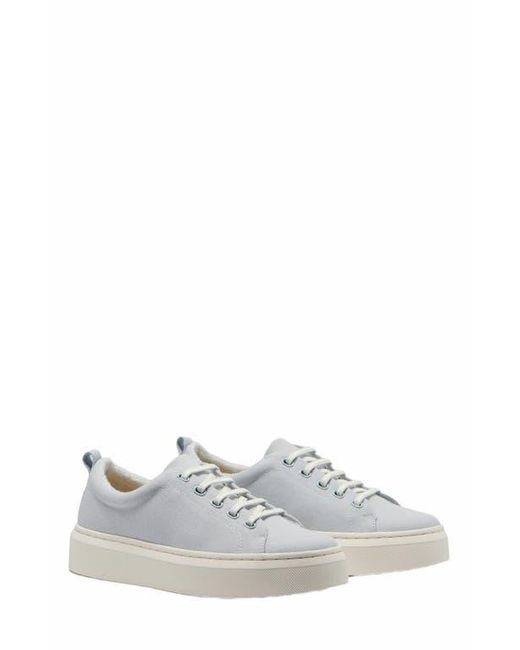 ABEO Multicolor Jumpstreet Bungee Sneaker
