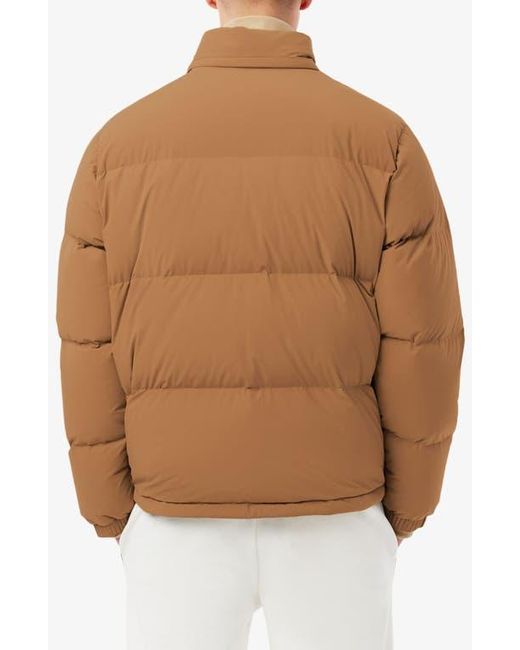 Lacoste Brown Water Repellent Down Puffer Jacket for men