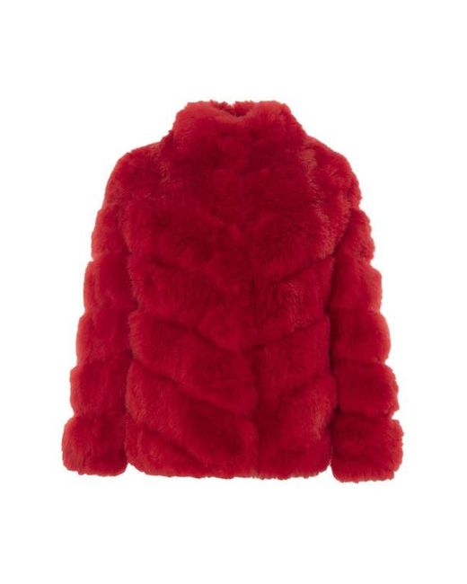Gorski Red Select Cashmere Goat Jacket