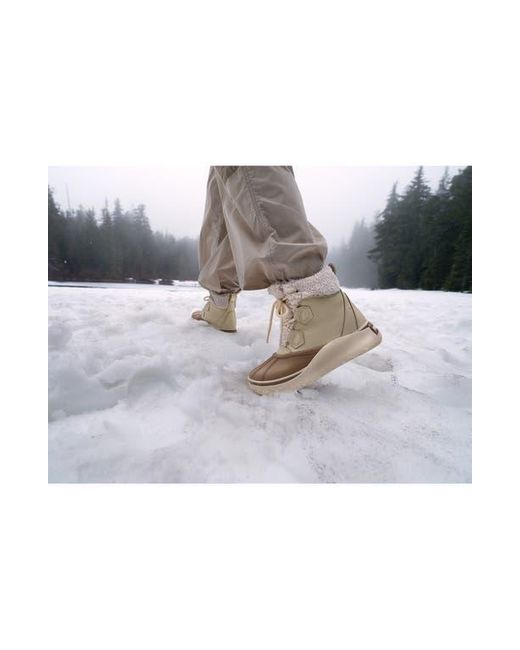 Sorel Natural Out N About Iv Chillz Waterproof Honey