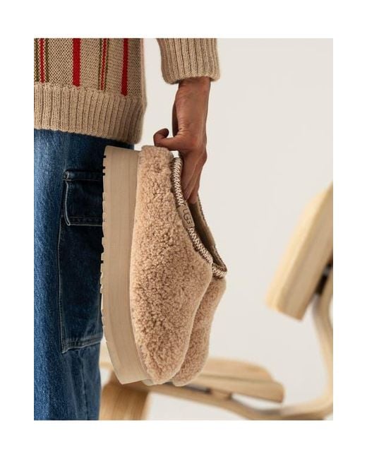 Ugg Brown Tazz Maxi Curly Genuine Shearling Platform Slipper