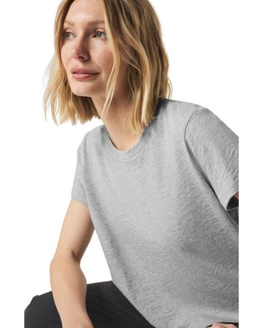 Splendid Gray Lousia Short Sleeve T-Shirt