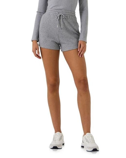 Grey Lab Gray Knit Shorts