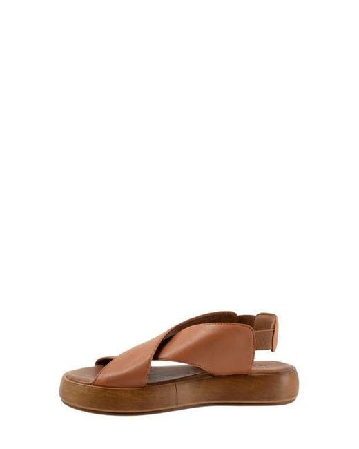BUENO Brown Jayden Sandal