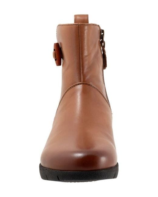 Softwalk® Brown Adelaide Bootie
