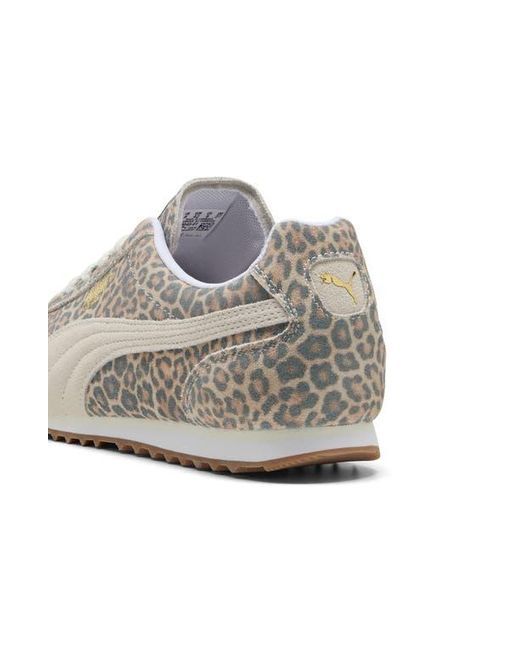 PUMA White Arizona Leo Sneaker