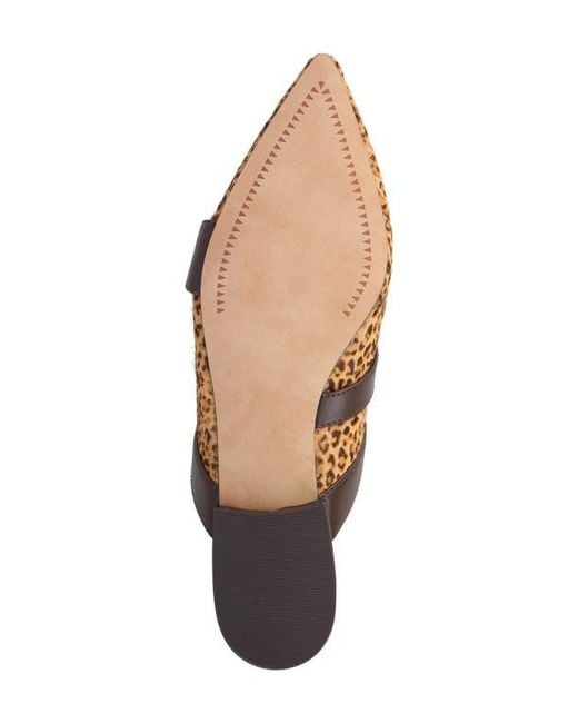 MIA Brown Abie Pointed Toe Mule