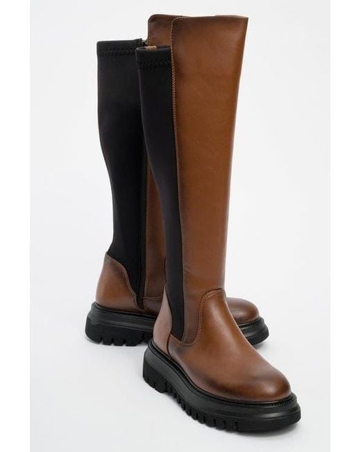 Prologue Shoes Brown Shadow Knee High Boot