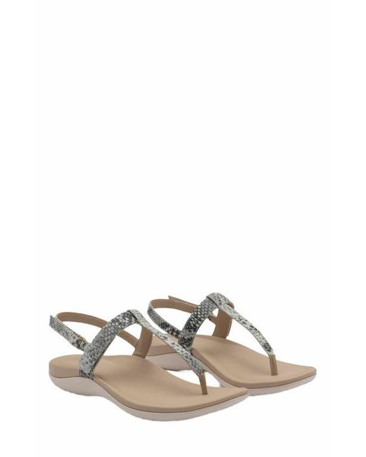 ABEO Metallic Oasis T Strap Sandal