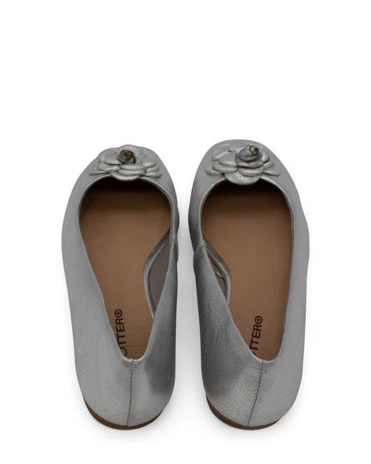 BOTTER Gray Botsamya Ballet Flat