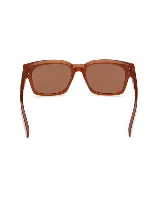 Zegna Brown 55Mm Polarized Rectangular Sunglasses for men