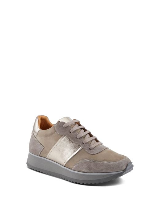 Spring Step Gray Compter Sneaker