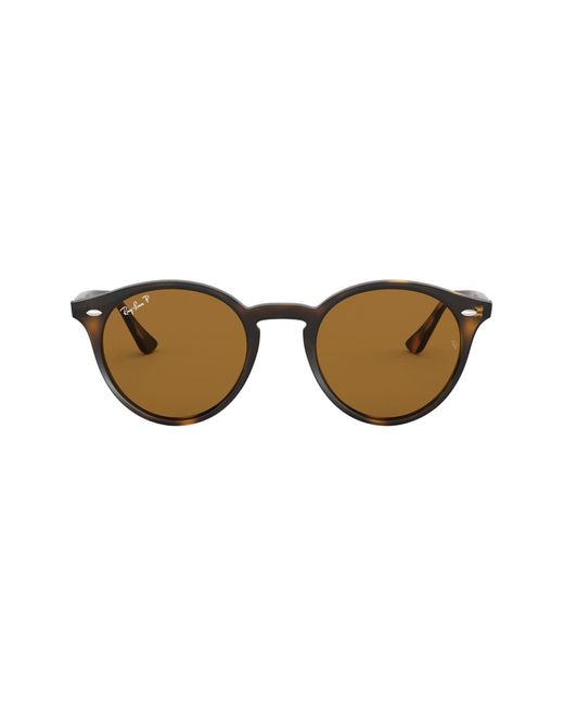 Ray-Ban Brown 49mm Polarized Round Sunglasses - Dark Havana Solid