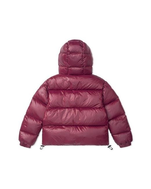 Alpha Style Purple Kudu Hooded Puffer Down Jacket for men
