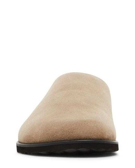 Steve Madden Multicolor Luis Slipper for men