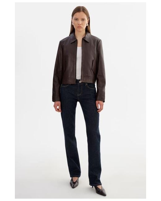 Lamarque Blue Tess