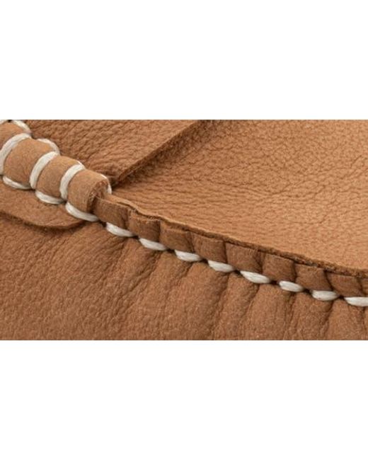 Trotters Brown Francey Lug Sole Penny Loafer