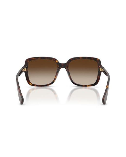 Ralph Brown 56Mm Gradient Square Sunglasses