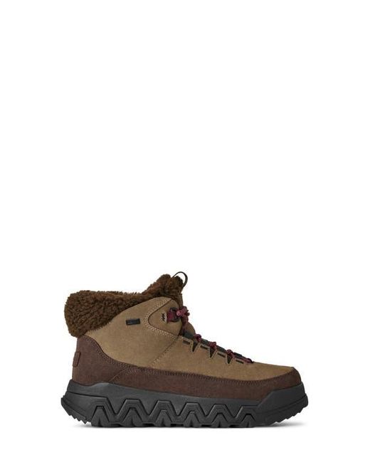 Ugg Brown Terretrail Cozy Waterproof Winter Boot