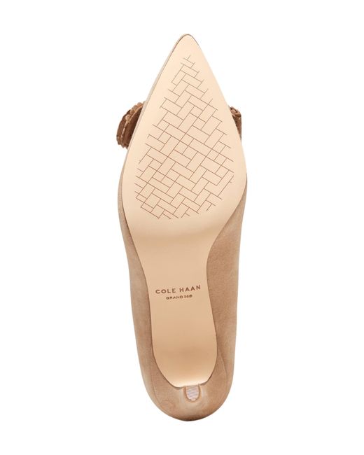 Cole Haan Brown Bellport Bow Pointed Toe Pump