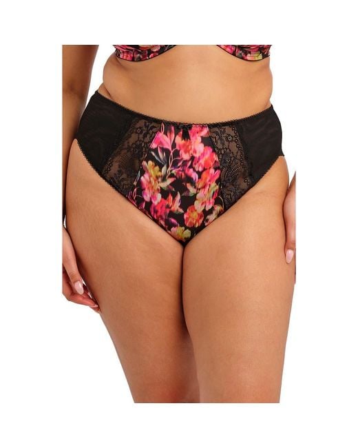 Elomi Pink Morgan Briefs