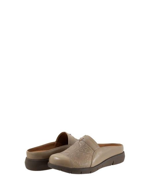 Softwalk® Brown San Marcos Tooling Mule
