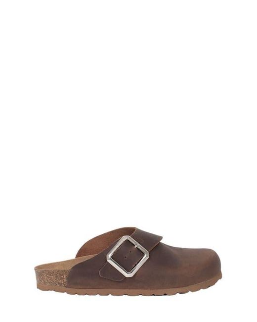 Celtic & Co. Brown Slip On Clog