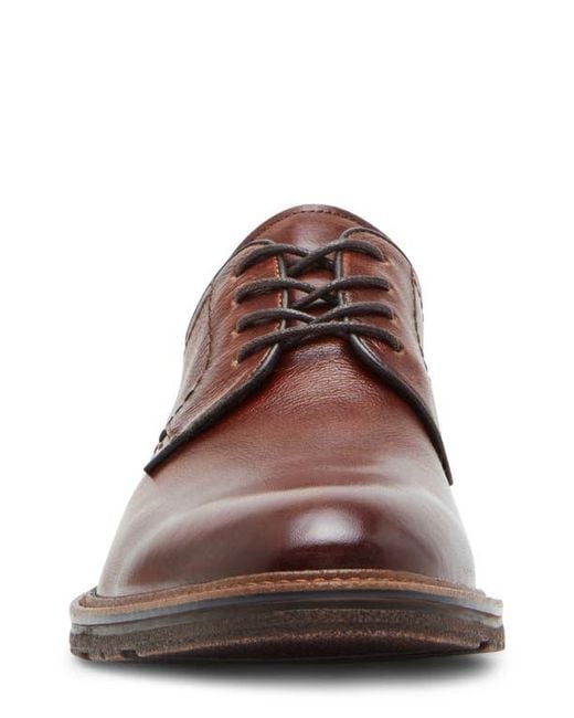 Steve Madden Brown Aeden Derby for men