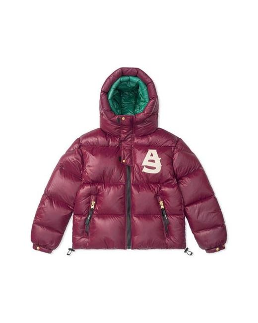 Alpha Style Purple Kudu Hooded Puffer Down Jacket for men