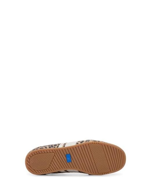 Keds Gray Revival Leopard Print Sneaker