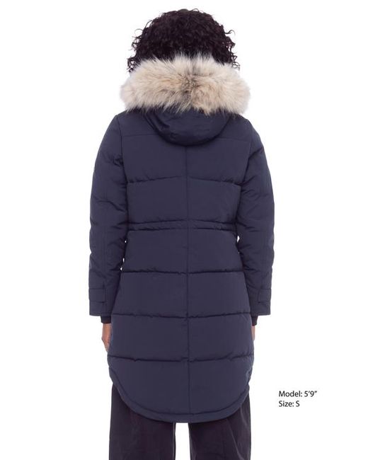 Alpine North Blue Ukon