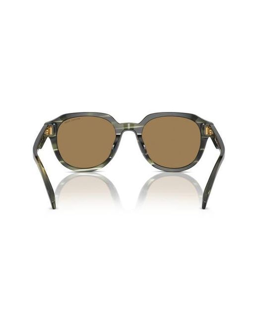 Michael Kors Gray Eyewear for men